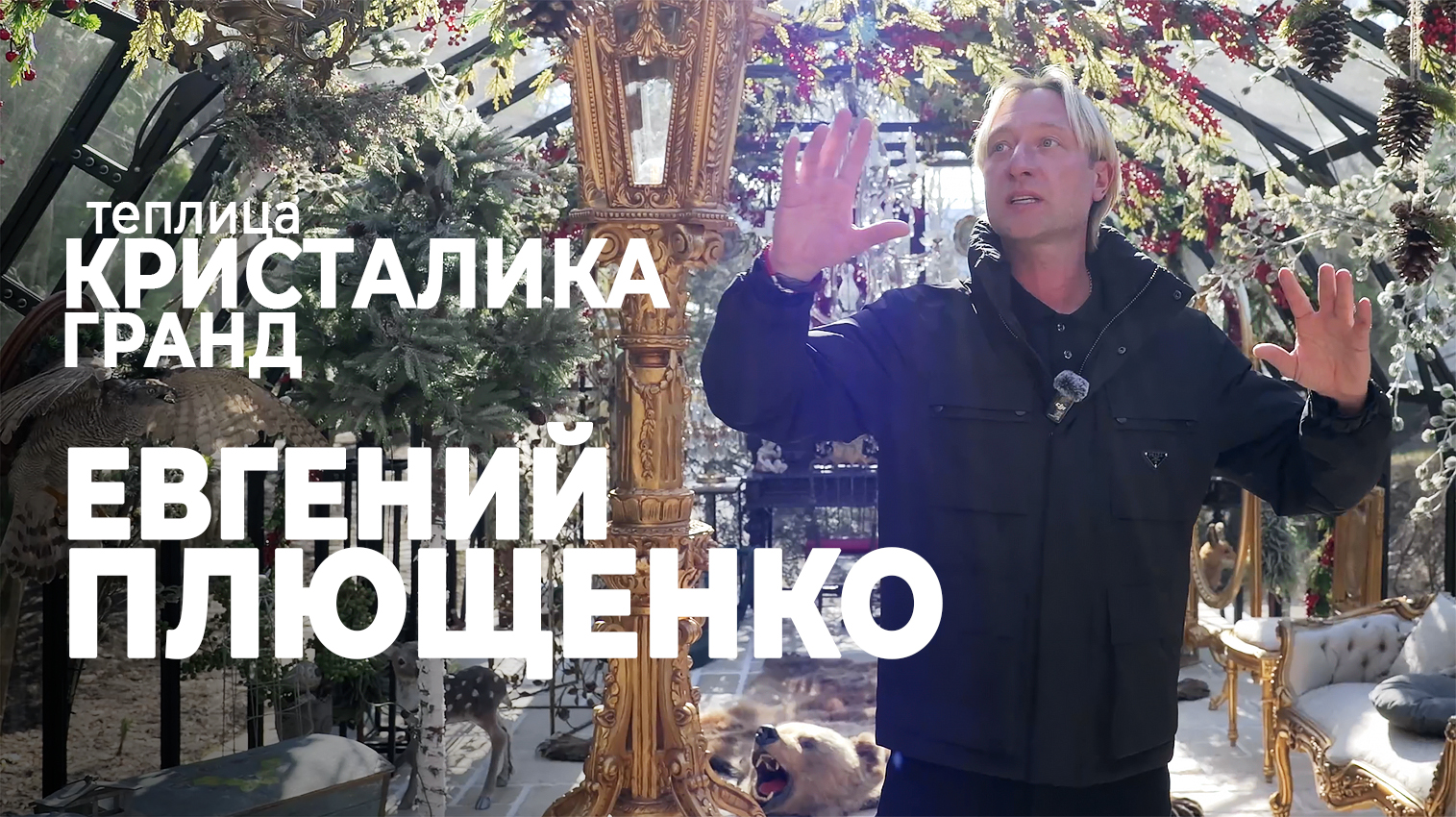 Видео