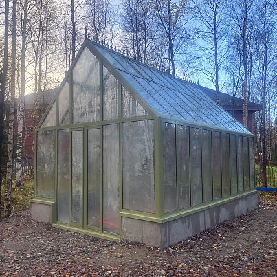 АСТЕРА Макси